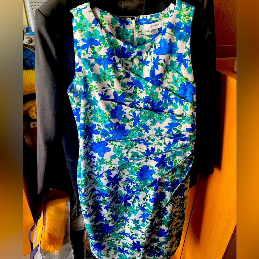Calvin Klein Floral Sleeveless Sheath Dress Sz 10